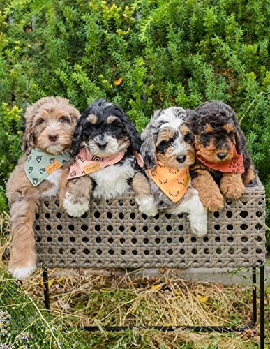Willow Creek Pet Ruházat Sál, Kendő a Kutyák & Kiskutyák | Bohém 4 Csomag | Kettős Rétegű, Tartós Szövet | Aranyos & Modern
